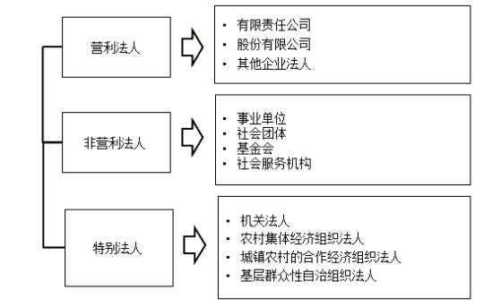 法人的分類 法人的分類